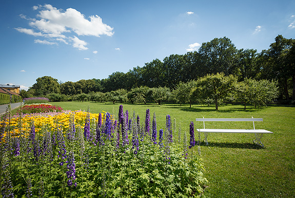 Bild: Blick zum Obstgarten