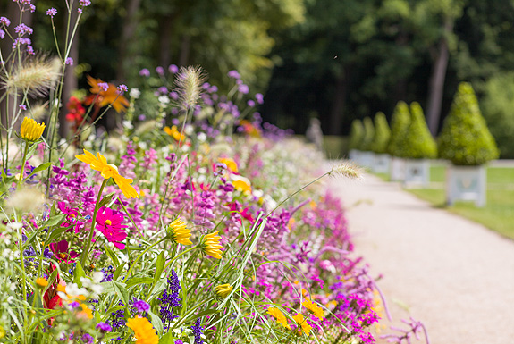 Bild: Blumenrabatten
