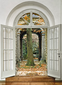 Picture: Beech tree in the inner courtyard of the Oriental Building