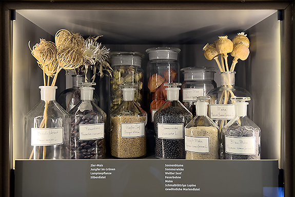 Bild: Vitrine im Museum