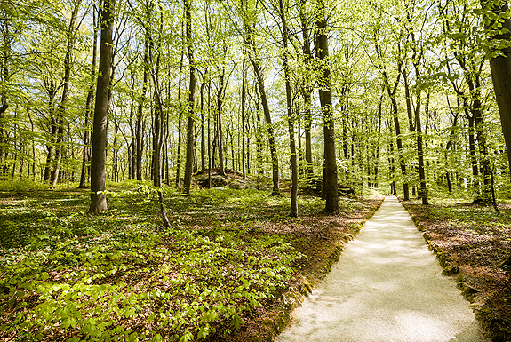 Bild: Spazierweg