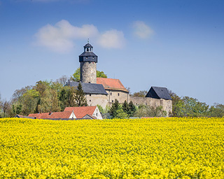 Link zum Puzzle "Burg Zwernitz"